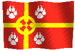 Мой флаг